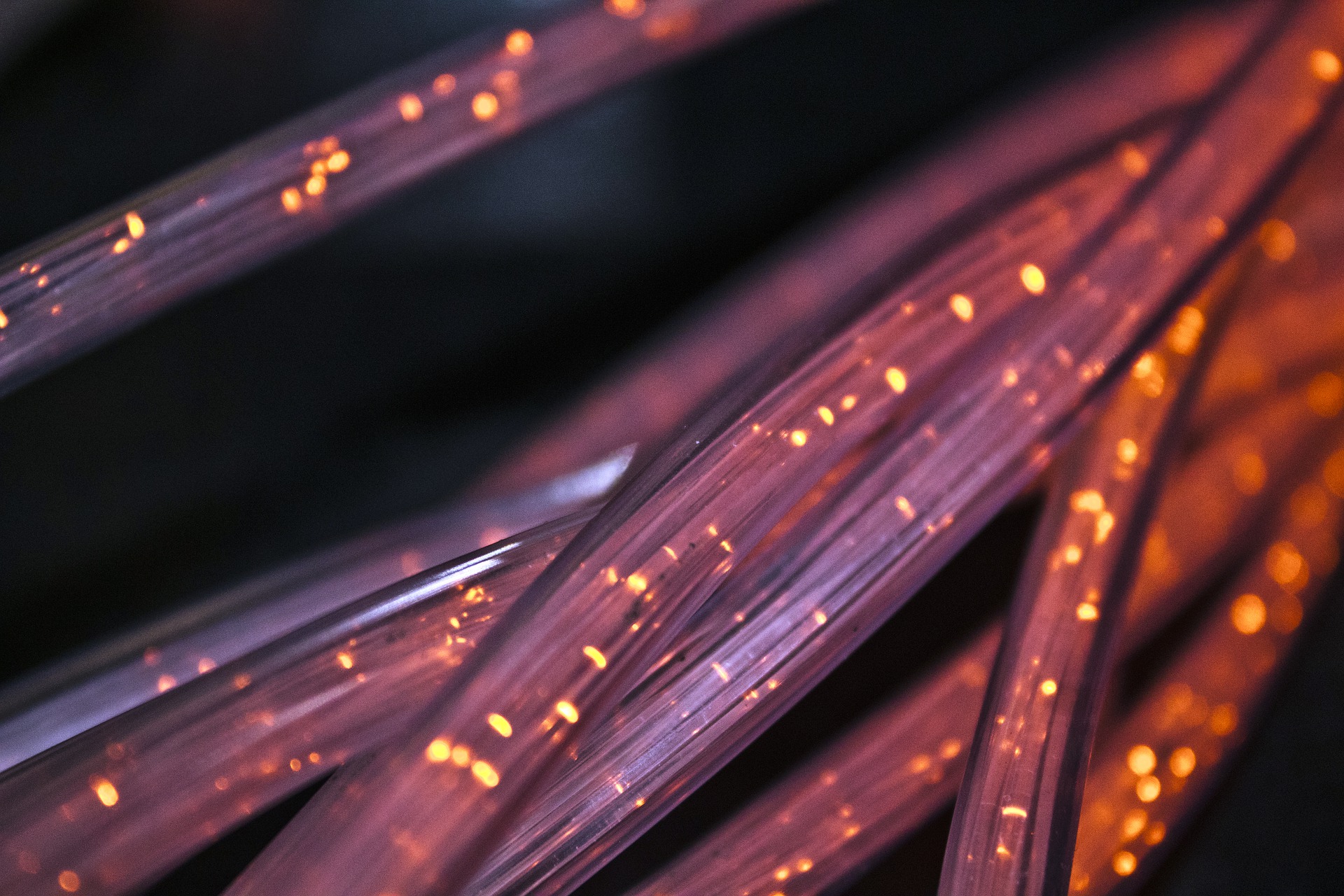 Fibra Condivisa